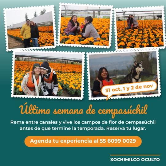 Promoción última semana de cempasúchil en Xochimilco Oculto
